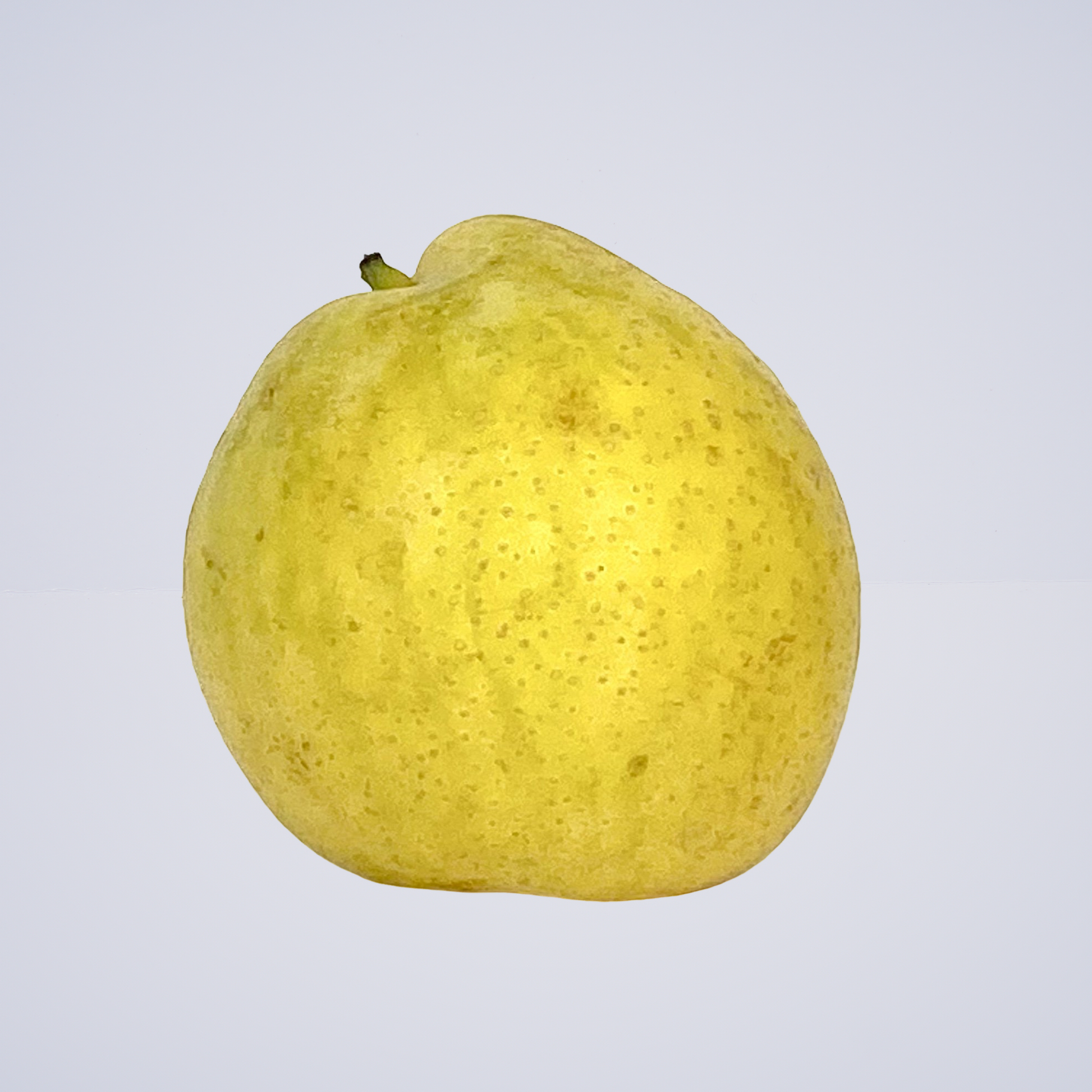 Pears – Nashi
