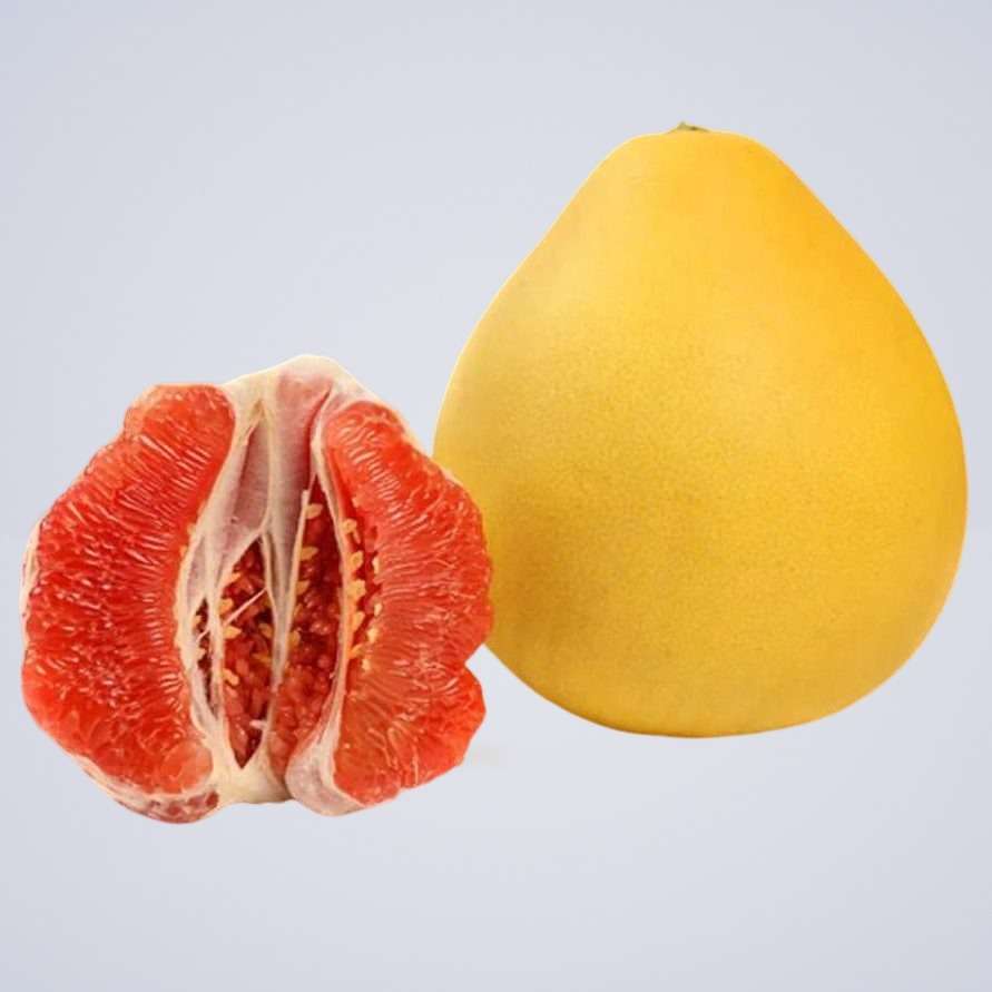 Pomelo Grapefruit – Red Pink Flesh