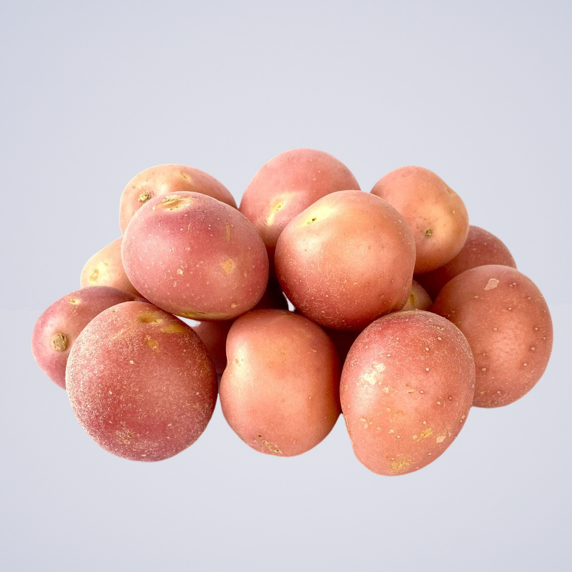 Potato – Cocktails Red Desiree “Baby Small Potatoes”