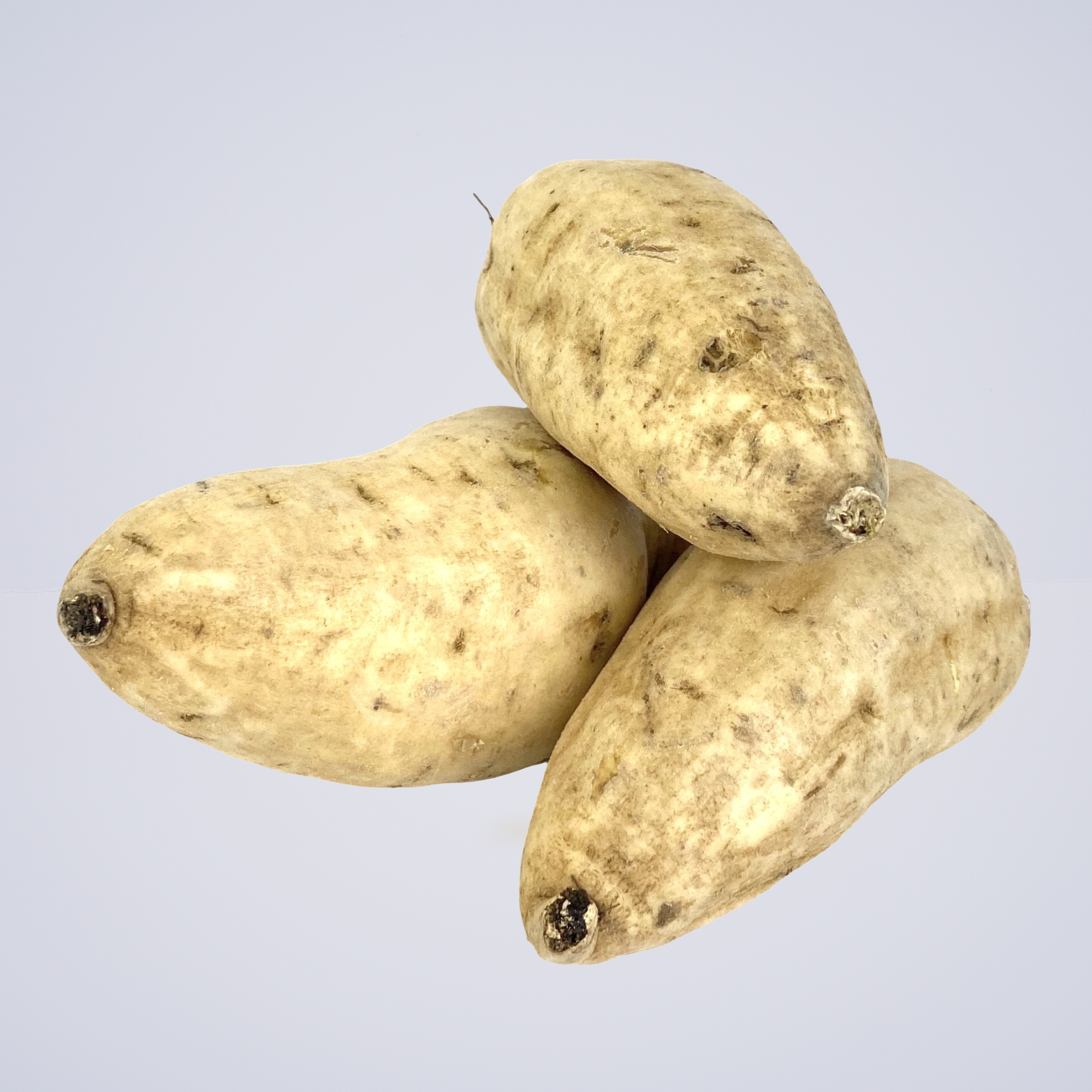 Potato – Sweetpotato White