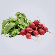 Red Radish