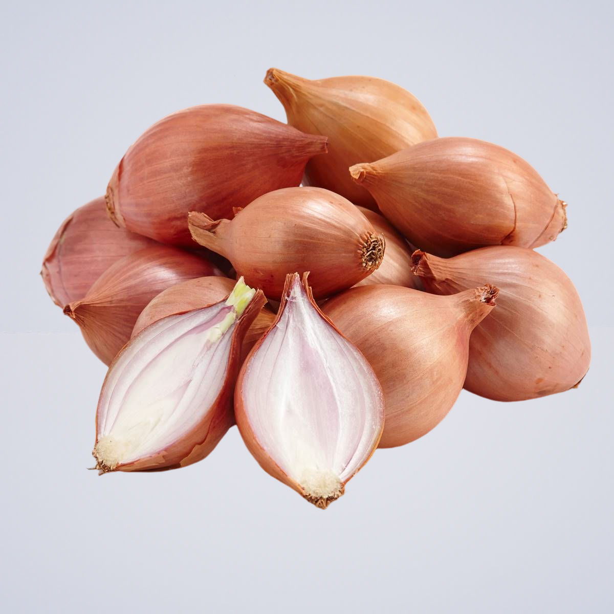 Shallots Eschallots – Bulb Golden (French Shallot)