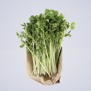Snow Pea Shoots