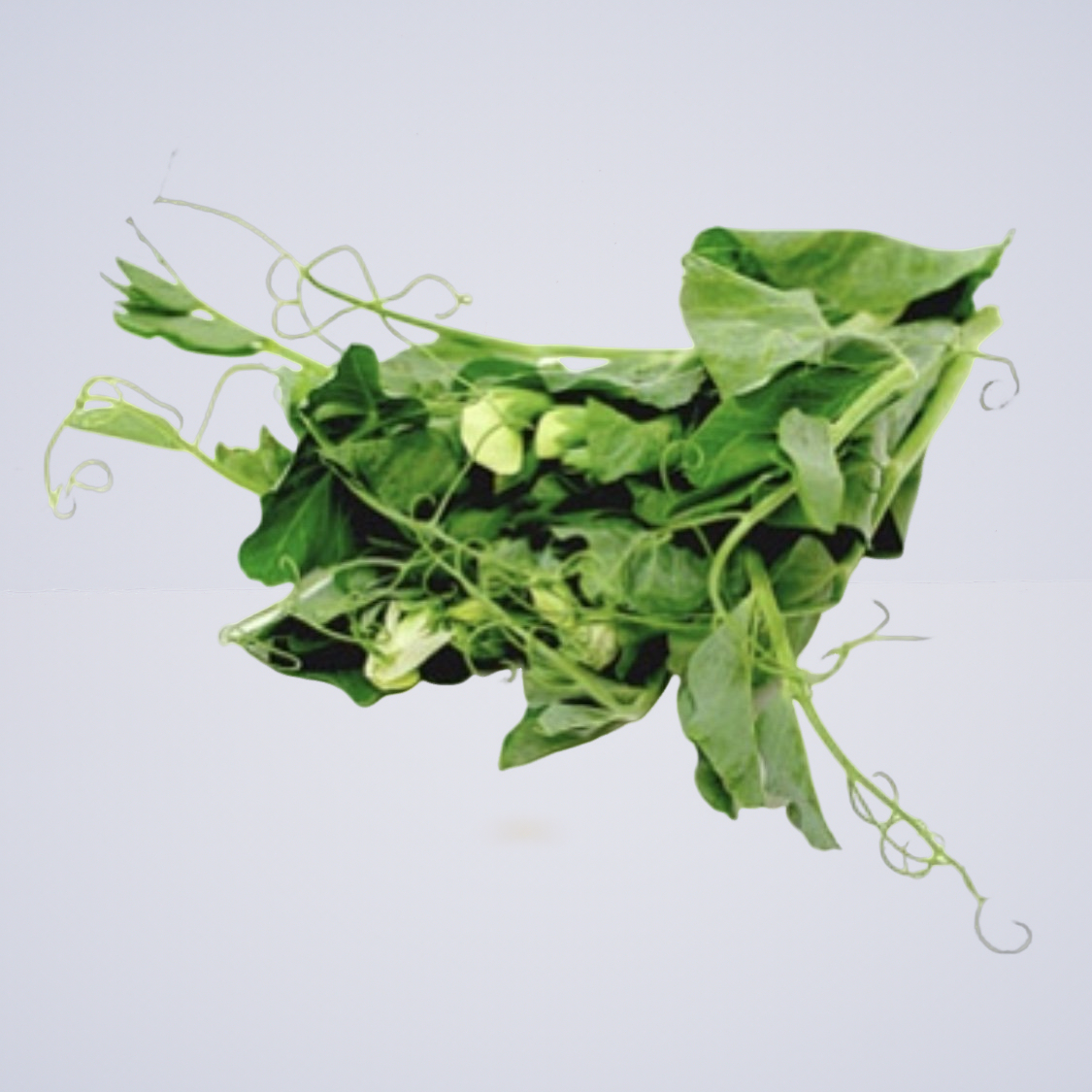 Snow Pea Tendrils 100g