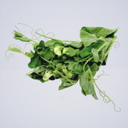 Snow Pea Tendrils 100g