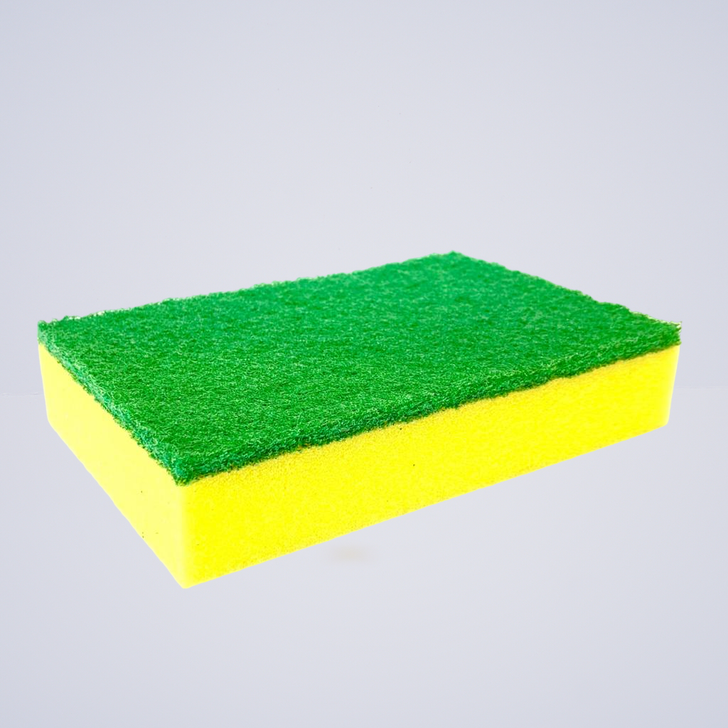 Sponge Scourer – (Green & Gold)