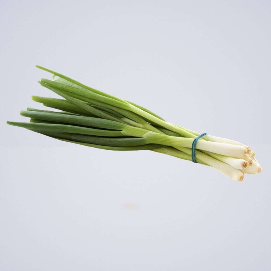 Spring Onion