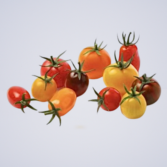Tomato – Cherry Medley Heirloom (Mix Coloured)