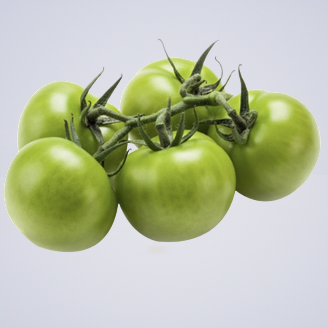 Tomato – Green – South Australian