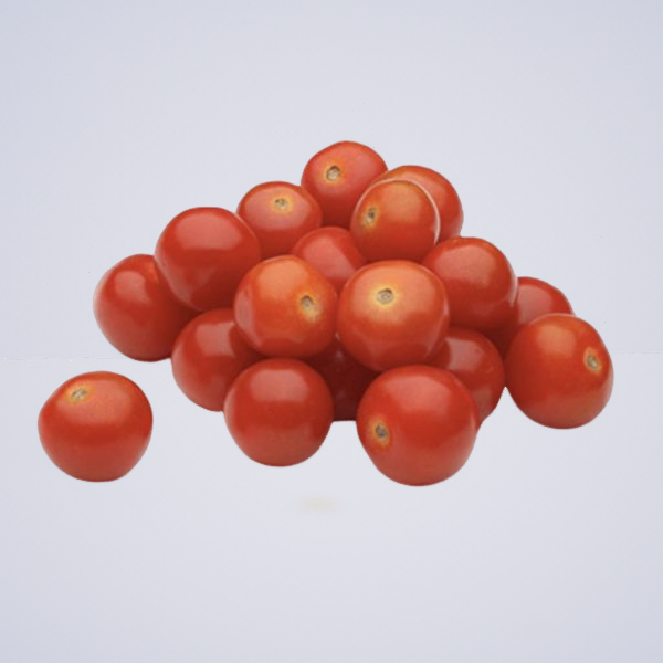 Tomato – Red Cherry 1