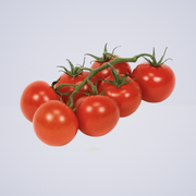 Tomato – Truss Vine Ripen Tomatoes – Med. Size 500g (Pre-Pack)