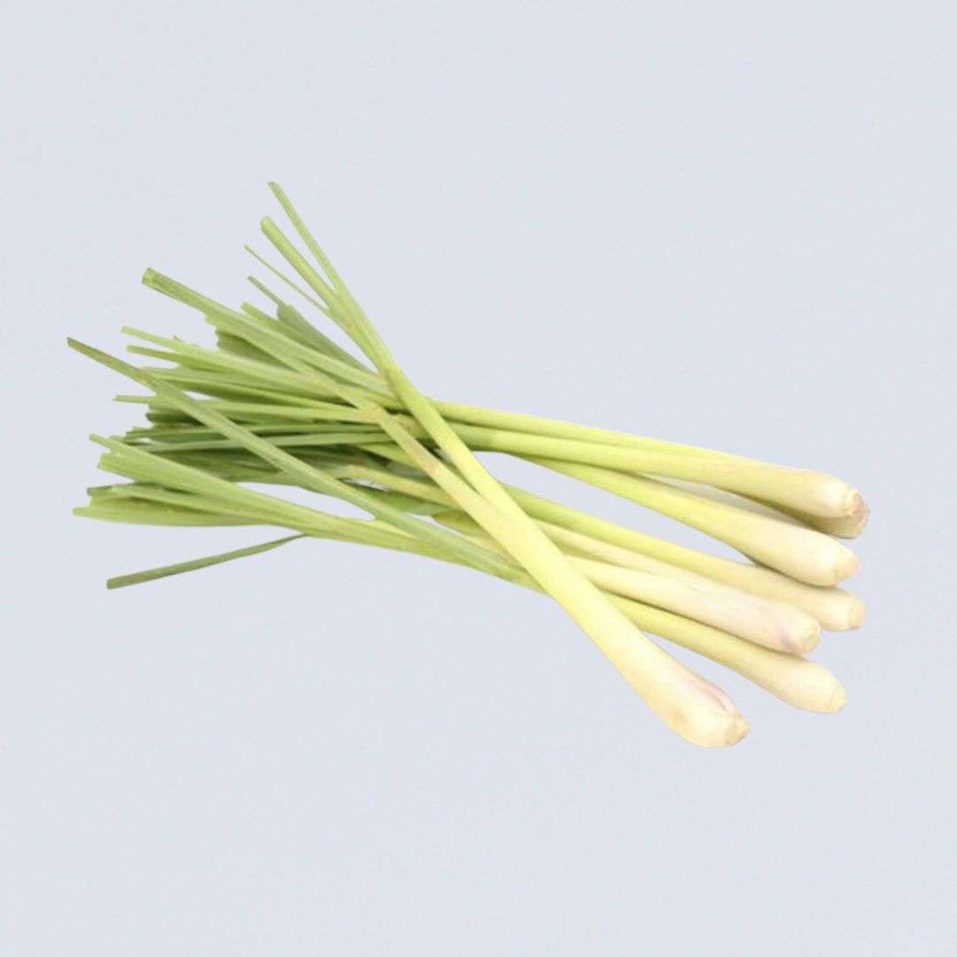 Herb – Lemongrass Sticks “Fresh”