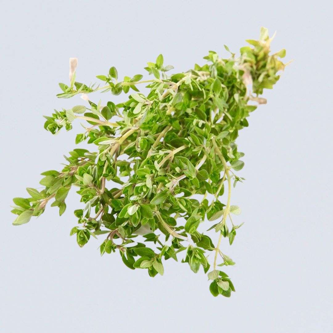 Herb – Lemon Thyme