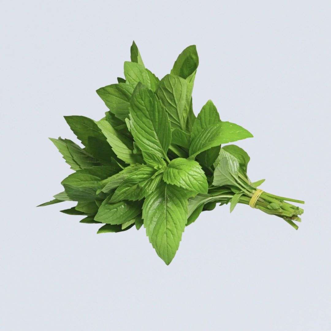 Herb – Mint