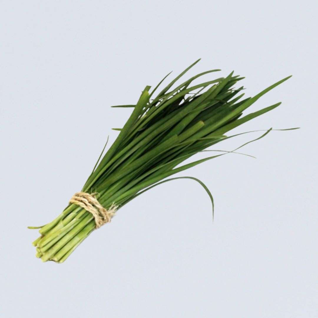 Herb – Garlic Chives