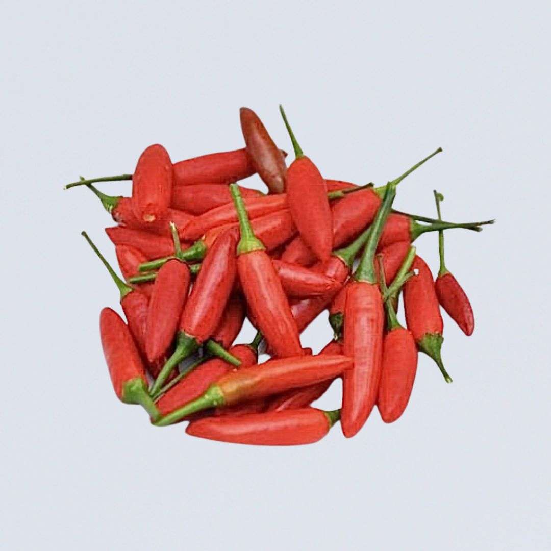 Chilli Birds-Eye Red (70g Punnet)