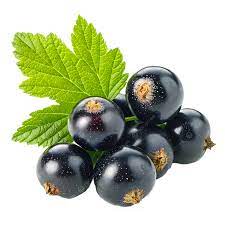 black currants loose