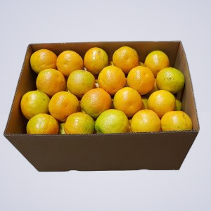 bulk orange
