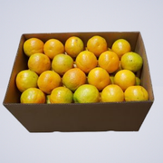 bulk orange