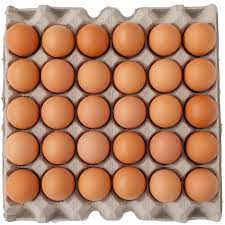 Eggs Free Range Keans 700g ｜ (15doz. Filler Tray Pack Box)