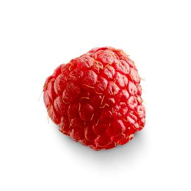 Fruit