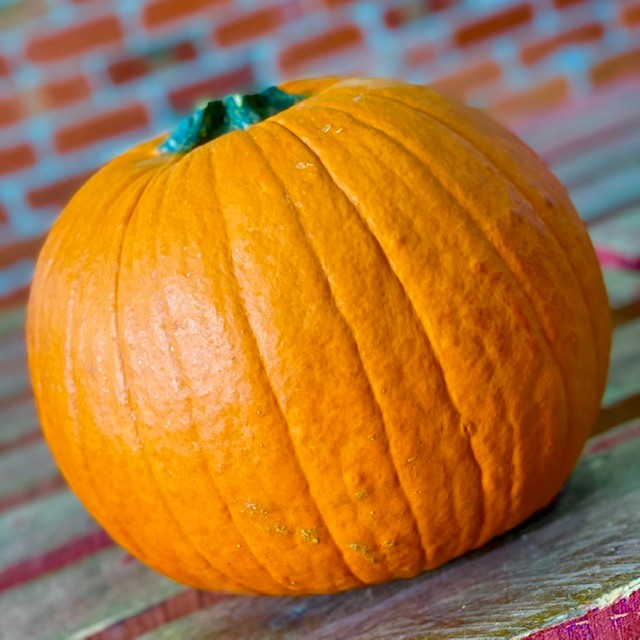 Jack O Lanterns Pumpkin Fresh - Each